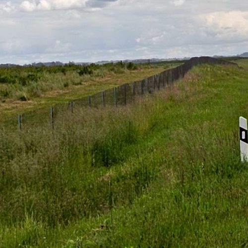 Сад с плодово-ягодными насаждениями, расположенный по адресу: Гомельская обл., Чечерский р-н, южнее г. Чечерска вдоль автодороги г. Чечерск - н.п. Вознесенский